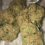 Buy Cherry Pie Online Sydney, Cherry Pie for sale, Medical Cherry Australia, Buy Best weed strains in Melbourne, Buy Weed Online