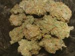 Buy Ace of Spades Weed in Australia 