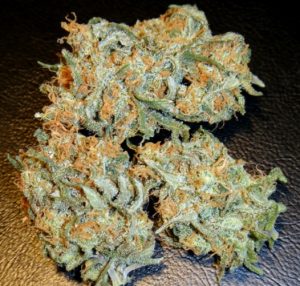 Buy aurora indica online in Australia