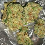 Buy Bruce Banner Weed in Australia 