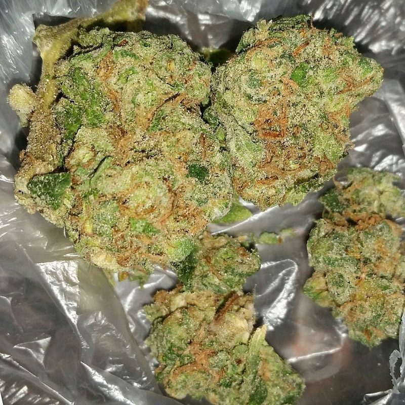 Buy Bruce Banner Weed in Australia 