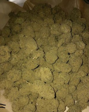 Buy Super Sour Diesel in Australia