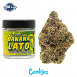 Buy Banana Lato Online Australia