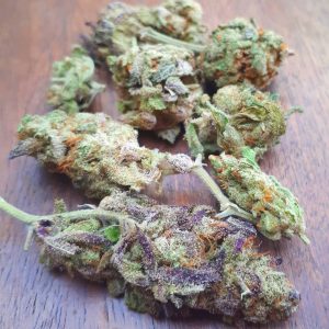 Buy Girl Scout Cookies Weed in Australia