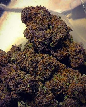 Buy purple kush online in Australia