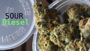 Buy Weed Online In Wanneroo Perth