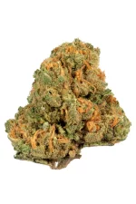 Buy Jack Herer Online Sydney